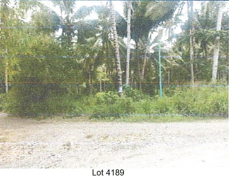 Agricultural, Farm Land, Lot Area: 90263.00 sq.m., Floor Area: 0.00 sq.m.