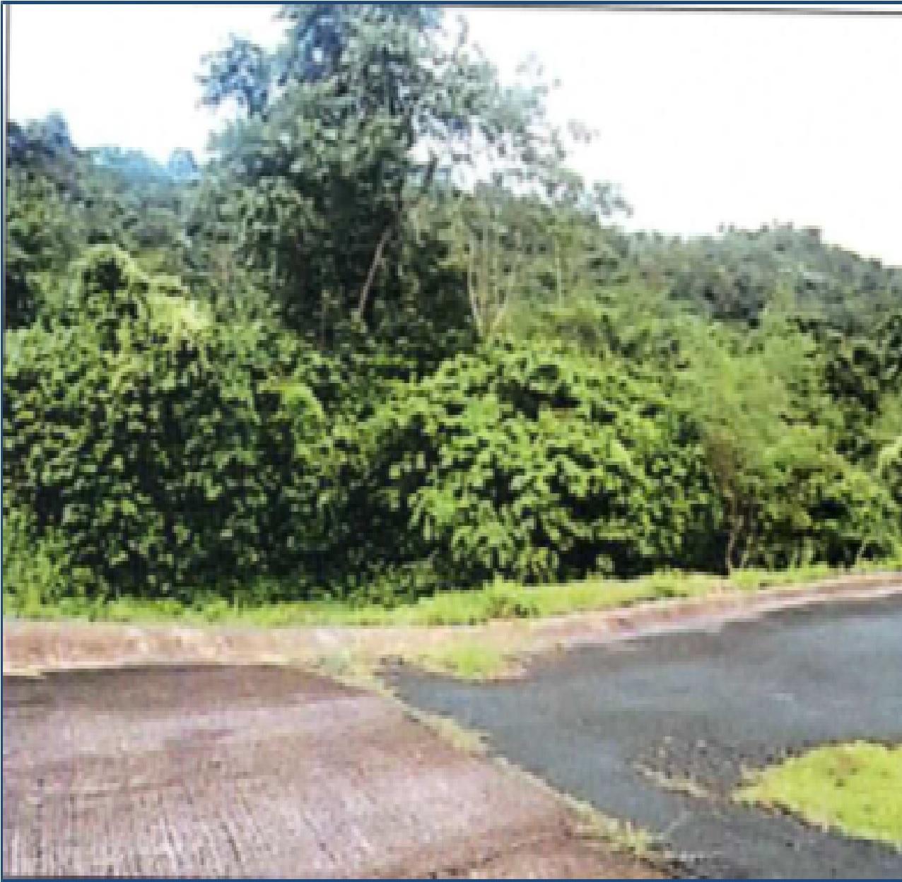 500-sqm. residential land