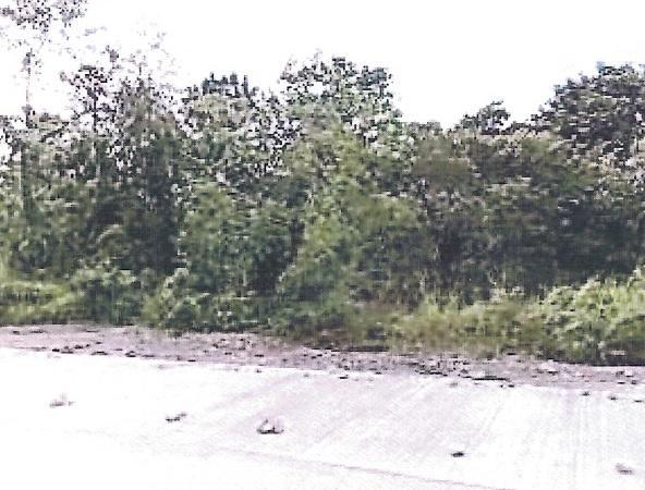 Property 19109000000022